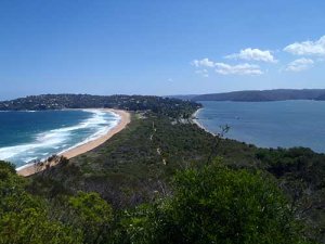 Palm Beach