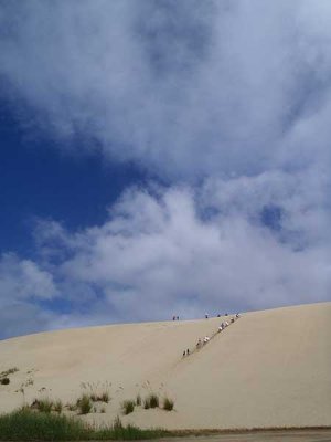 Sand Boarding 