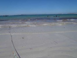 The Bay