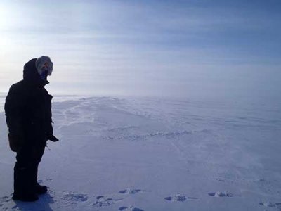Sea ice.