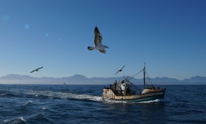 Fishing boat - Mosselbay | Picture by Elena Salim Haubold