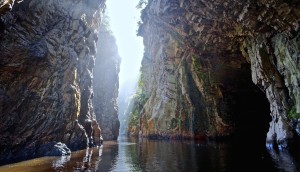 Tsitsikamma National Park | Picture by Elena Salim Haubold