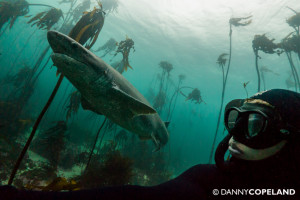 A shameless shark selfie from pre-scholarship life.