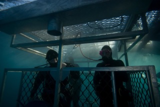 In the cage for the first time!