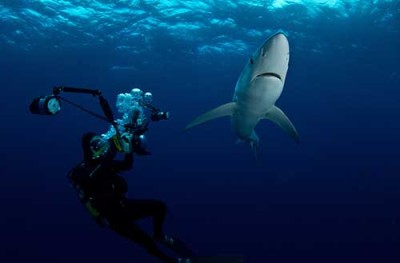 Brocq getting his pics. Photo: Morne Hardenberg